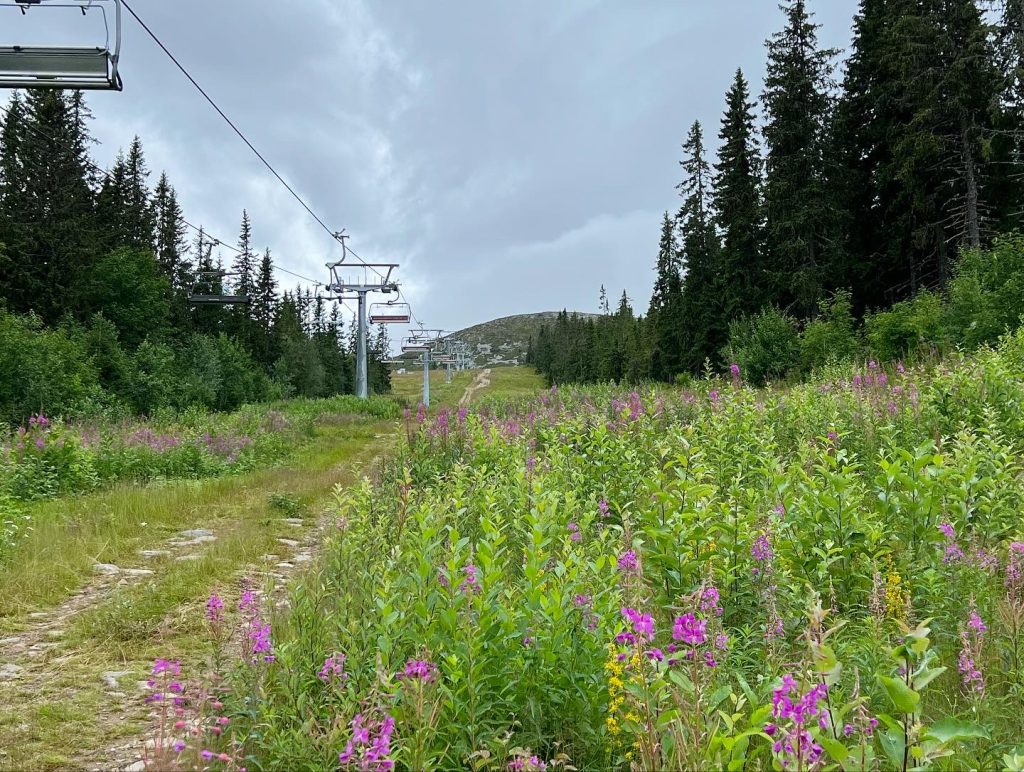 Trysilfjellet