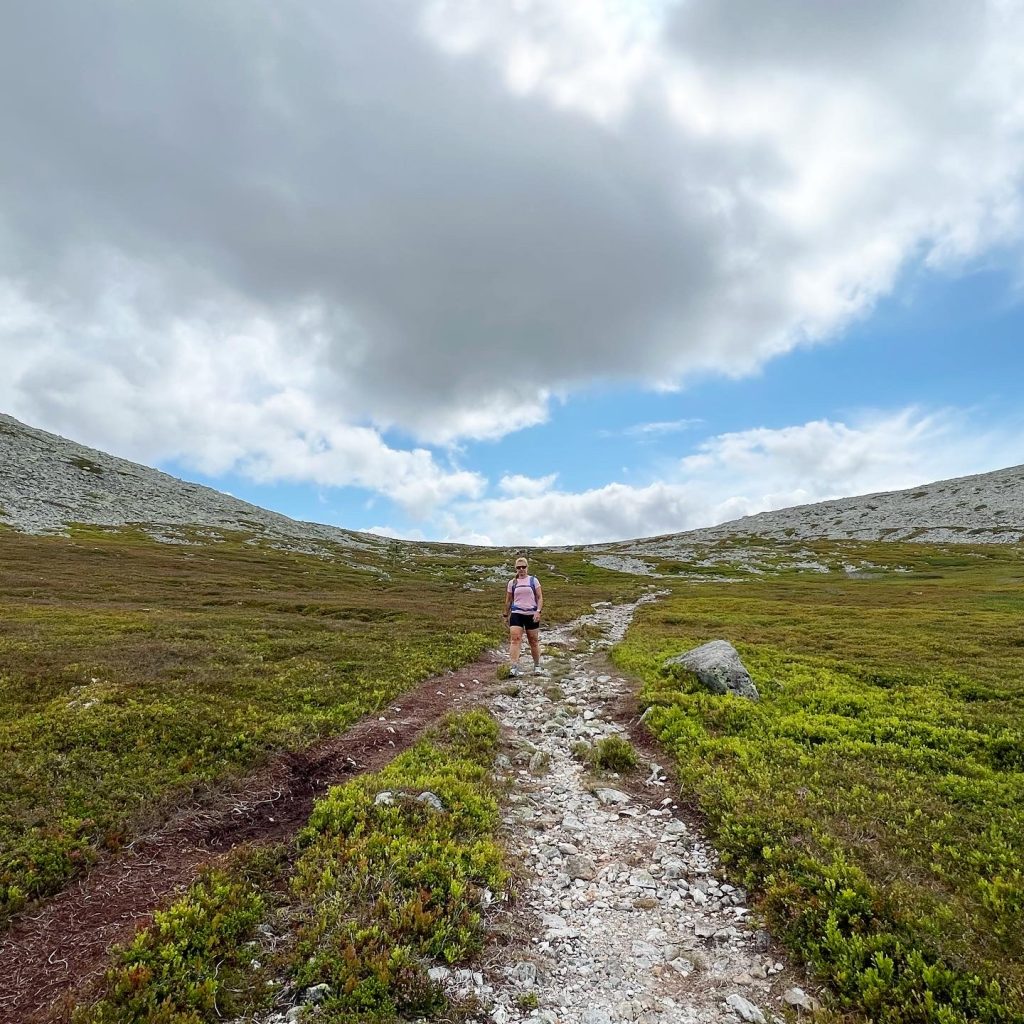 Fjällöpning