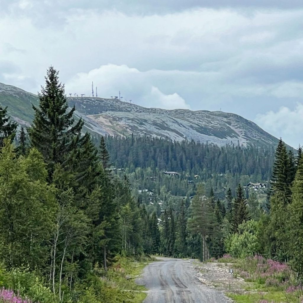 3D444879-2904-4F95-AA3E-F0D816D6C9AD-1024x1024 - Löprunda i hytteområdet
