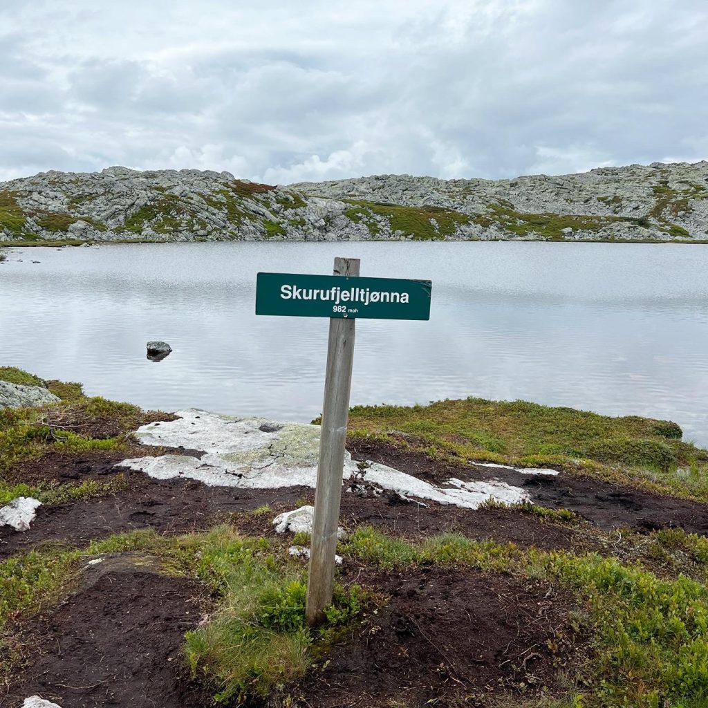 5DF09FC8-3343-44A4-8254-01FC08344598-1024x1024 - Skurufjellet och Skurufjelltjønna
