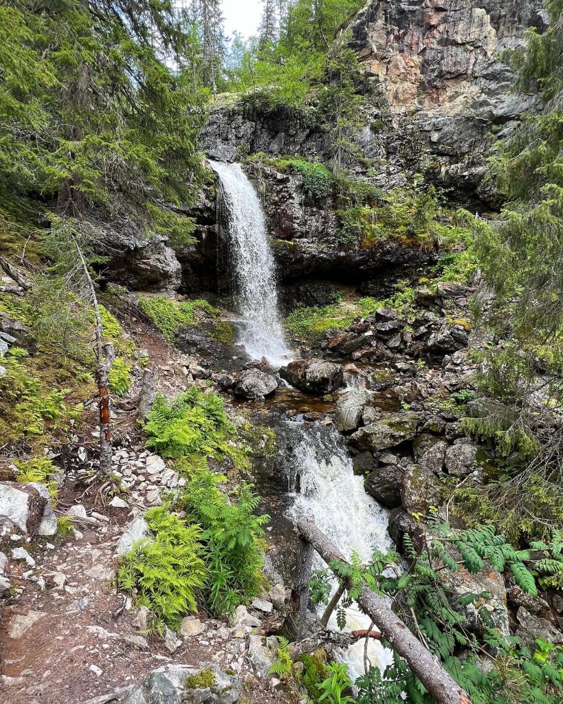 Skardbekkstupen