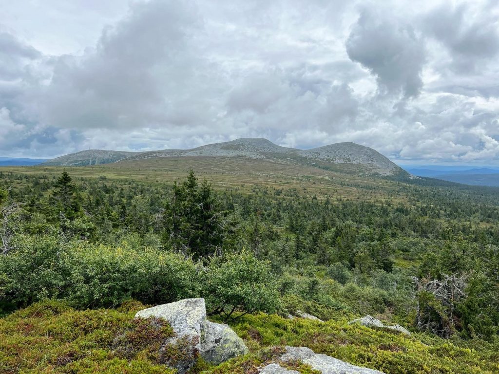 trysilfjellet