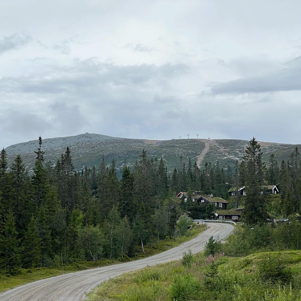 HÅvi
