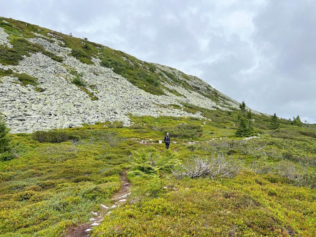 9F772574-D0FD-410E-8D9B-CD3383E9B842-1024x768 - Skurufjellet och Skurufjelltjønna