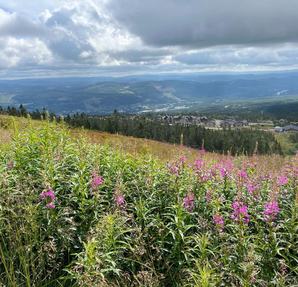 Skihytta