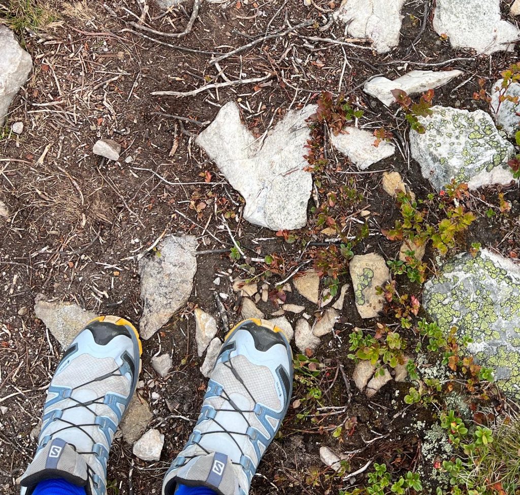 Naturhjärta