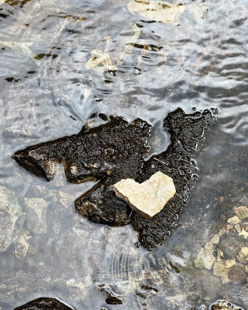 Naturhjärta