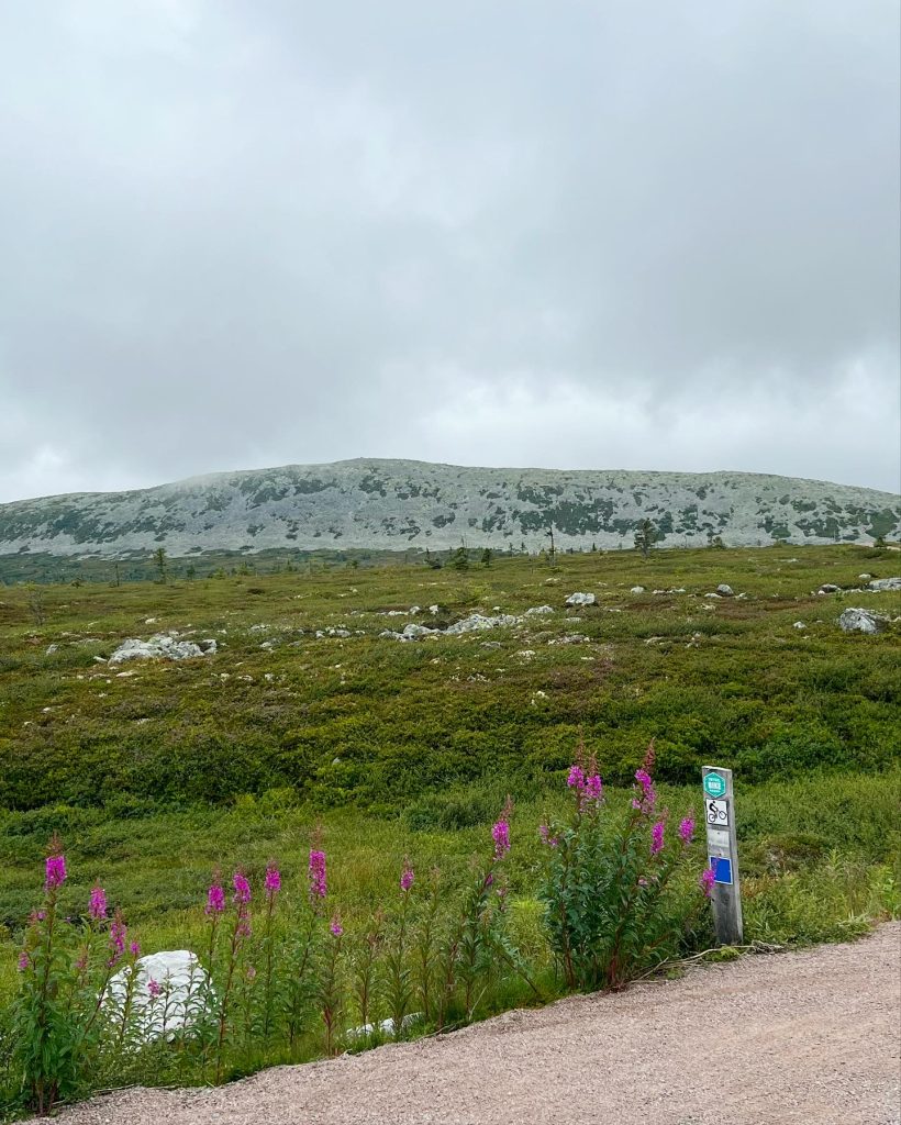 Skurufjellet