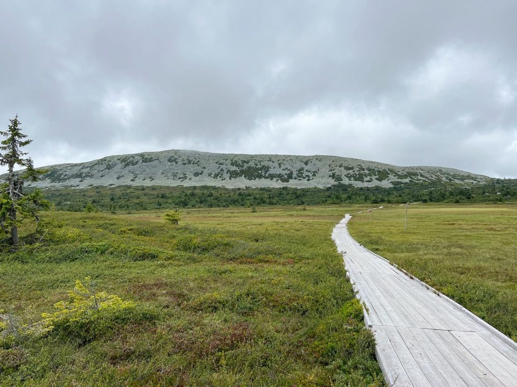 Skurufjellet