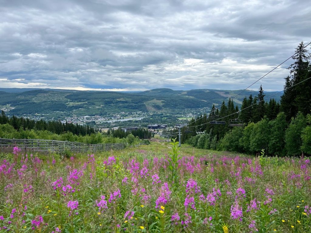 Trysilfjellet