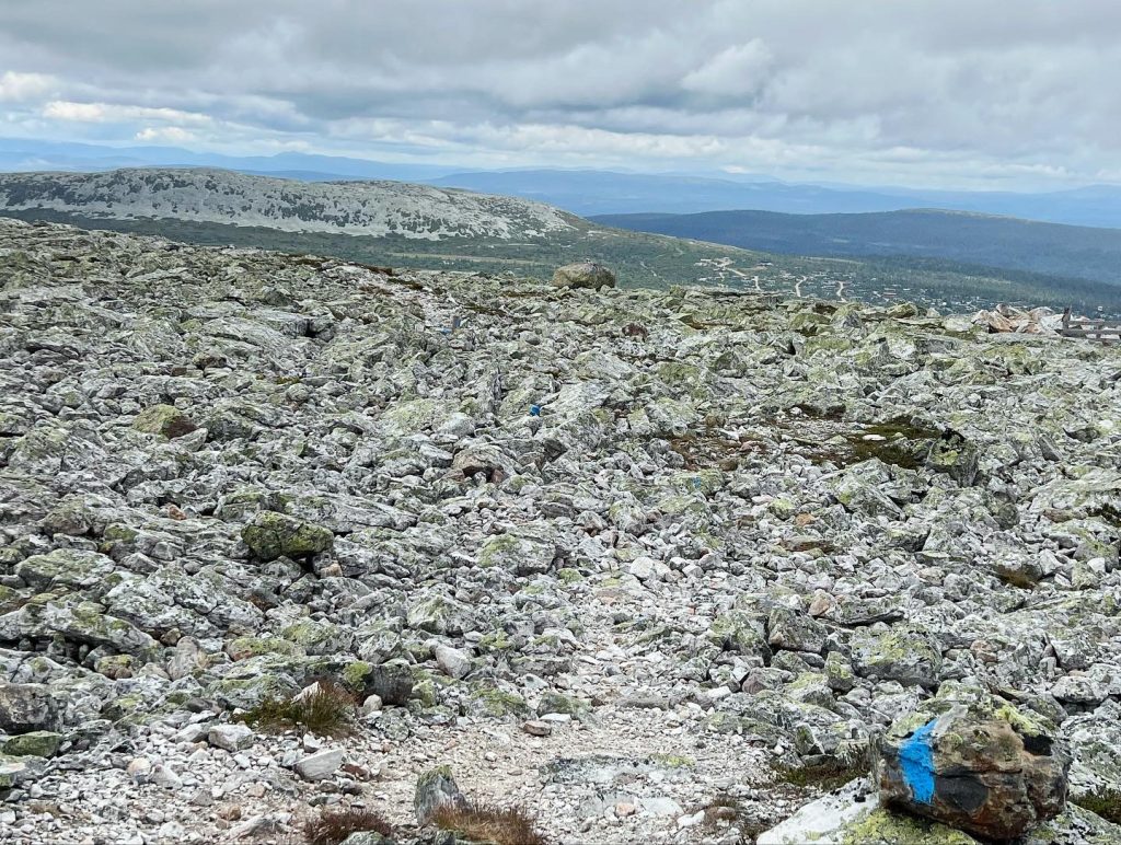 Trysilfjellet 