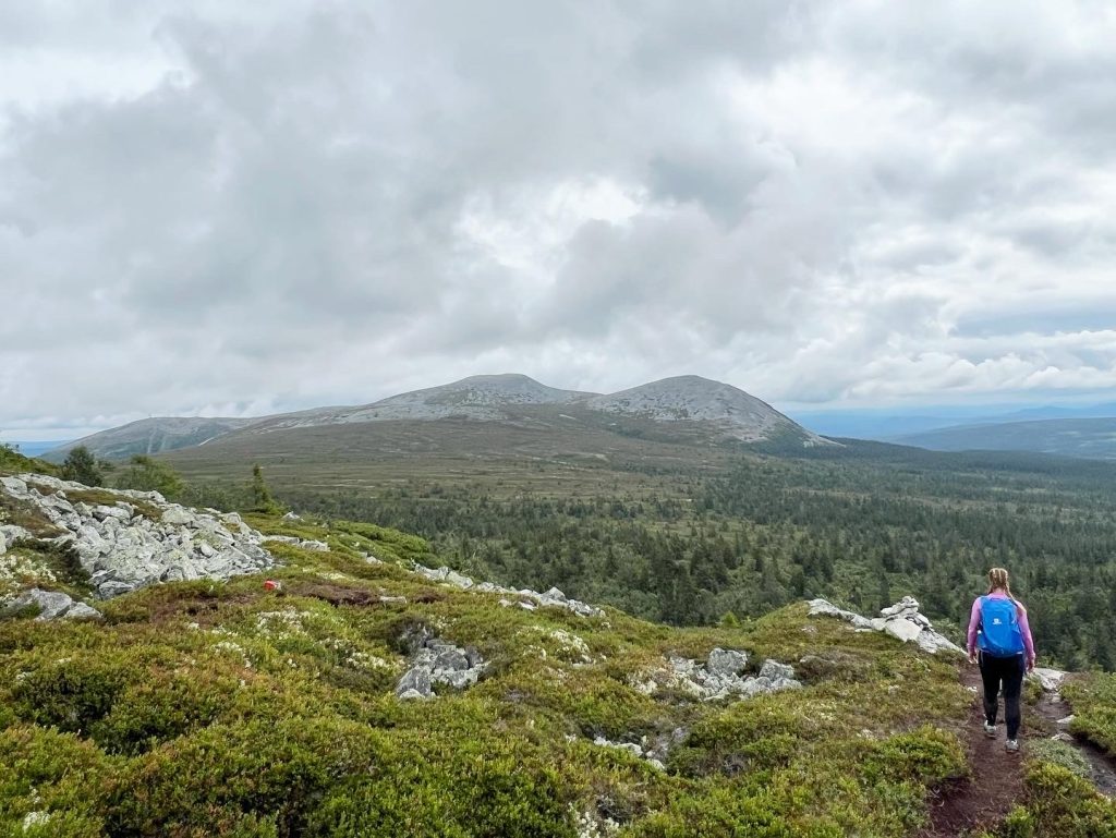 ECE9CA20-F18C-4086-A49C-D4BB12CD6091-1024x769 - Skurufjellet och Skurufjelltjønna
