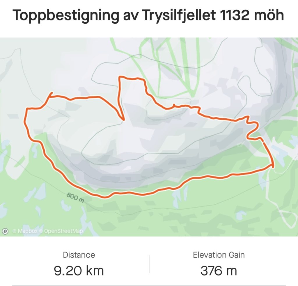IMG_5645-1024x981 - Trysilskylten och Trysilfjellets topp