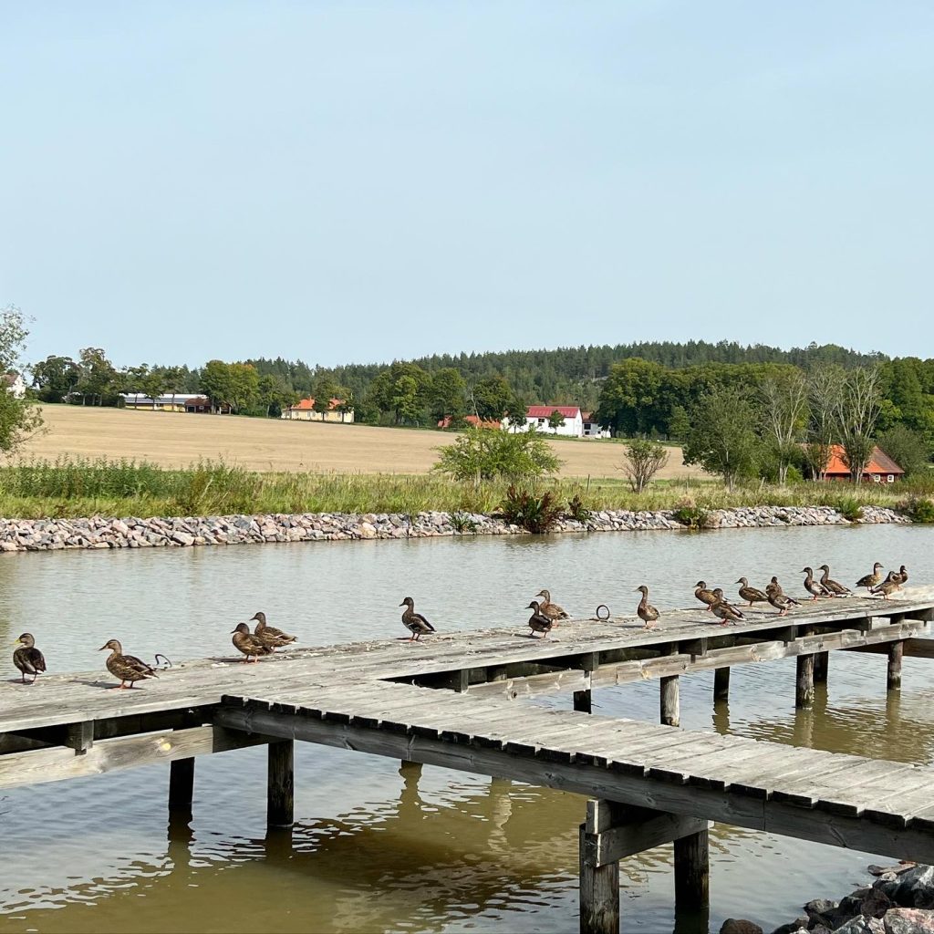Änder