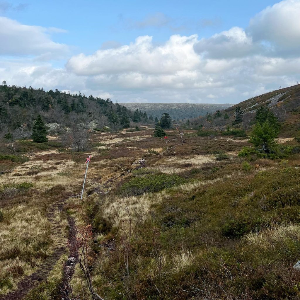 Närfjällsstugan