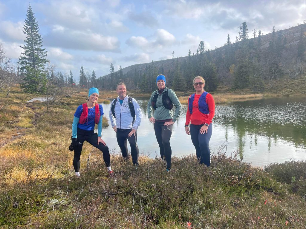 Fjällöpning