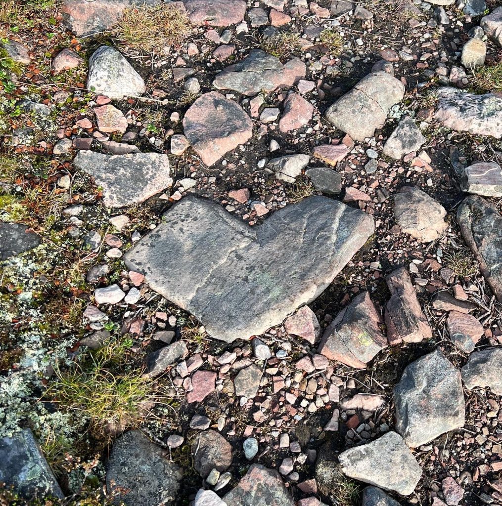 00742460-9A7C-48D0-A1C0-AEC04EA5257F-1015x1024 - Löpning på Östfjället