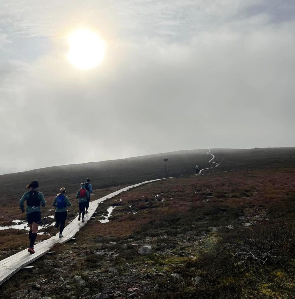 Fjällöpning