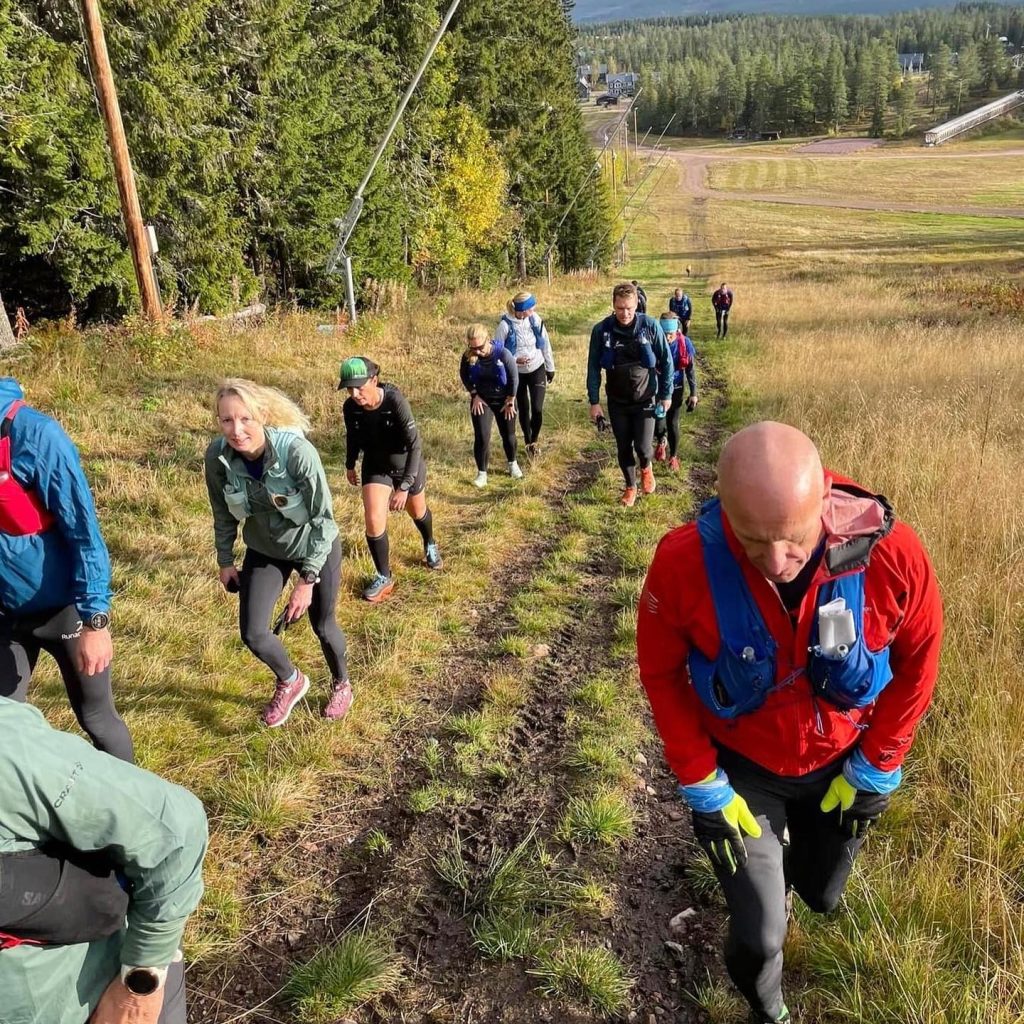 1D9623D0-0F57-44C0-898C-644D8DDA6351-1024x1024 - Fjällöpning på Mellanfjället