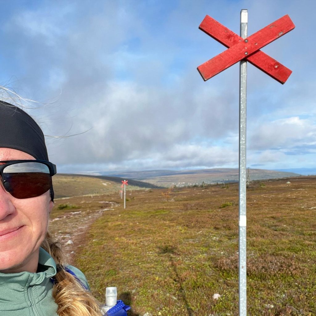 vickan mellanfjället