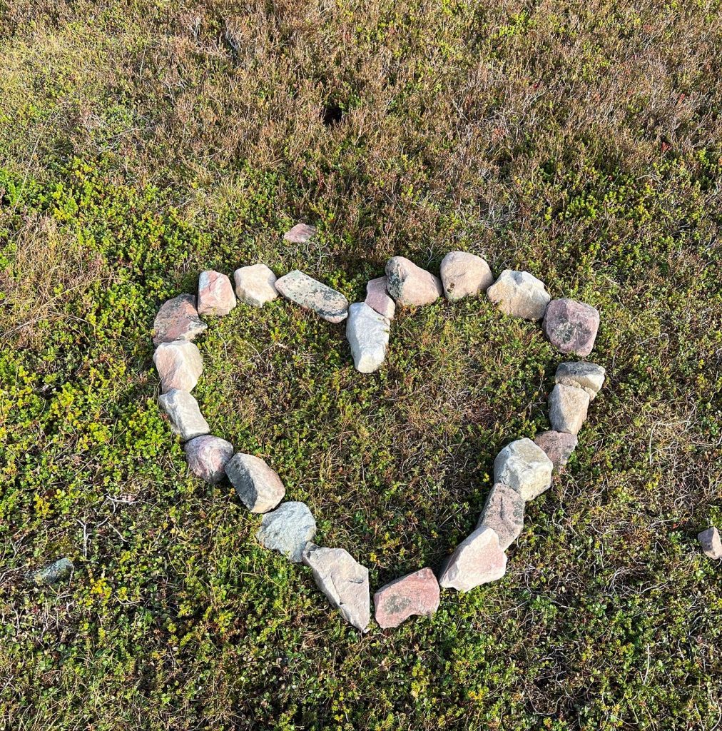 stenhjärta