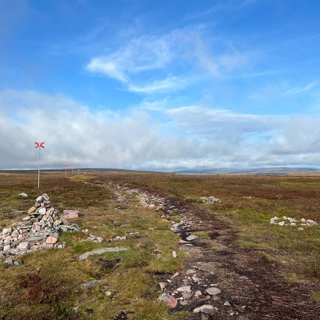 51C6E223-61FA-4A4B-A73E-410E0CF5360A-1024x1024 - Fjällöpning på Mellanfjället