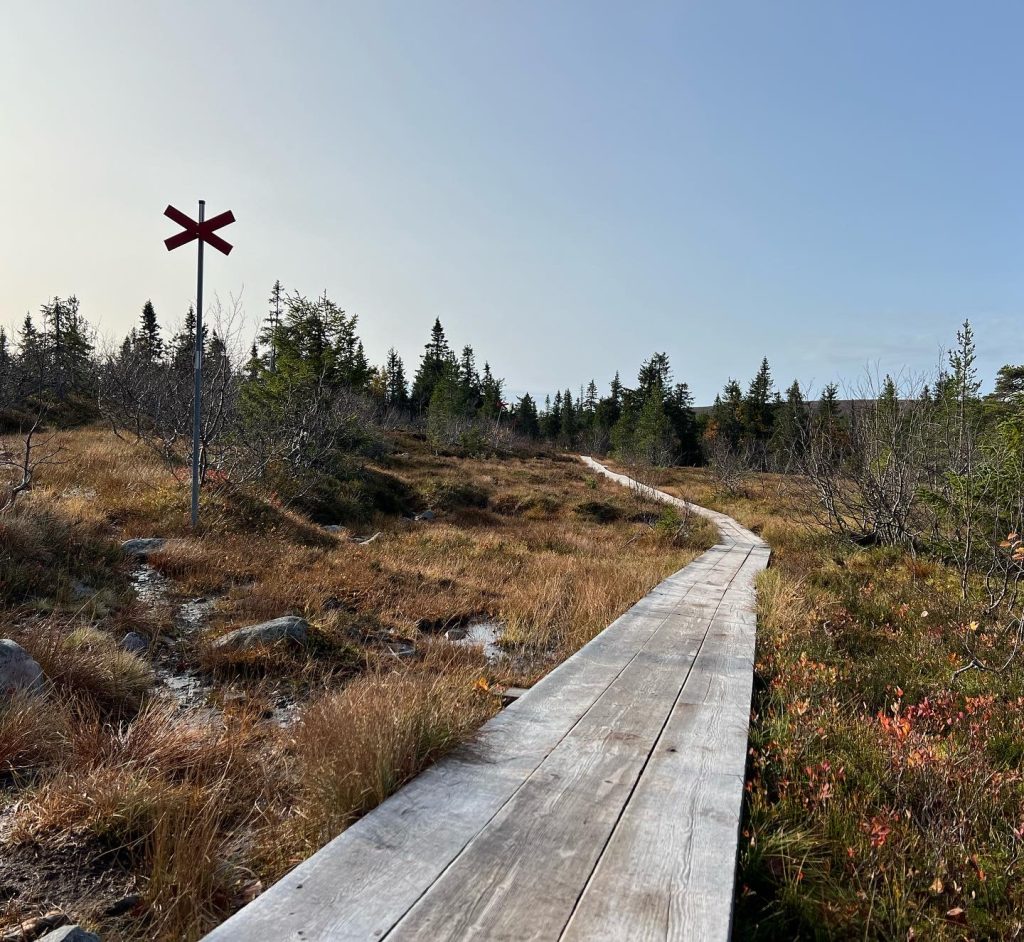 Spänger på Östfjället