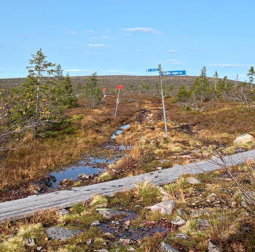 8C215423-575B-461D-A722-68126239D7A2-1024x1015 - Löpning på Östfjället