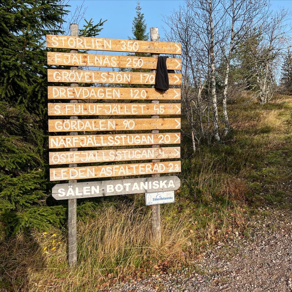 C929A81F-E120-468D-B9BB-D88AC5638482-1024x1024 - Löpning på Östfjället