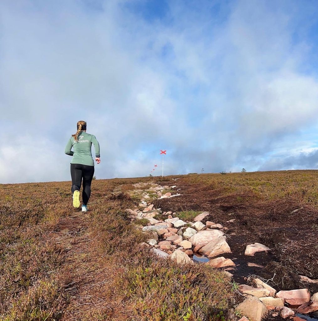 Fjällöpning