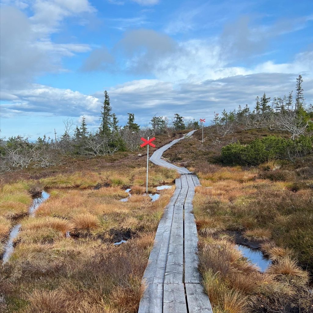 DFFEF7D6-D4D0-455C-9003-26ACD3C79ACC-1024x1024 - Fjällöpning i Sälen