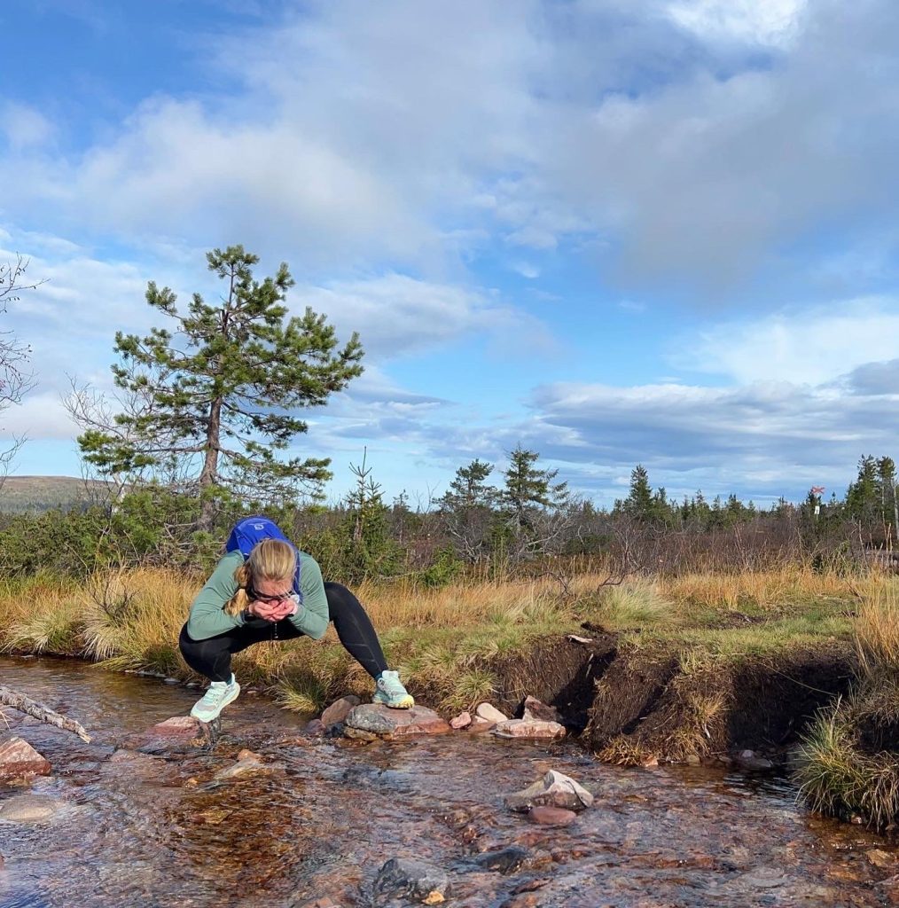 vattenpaus vid fjällbäck