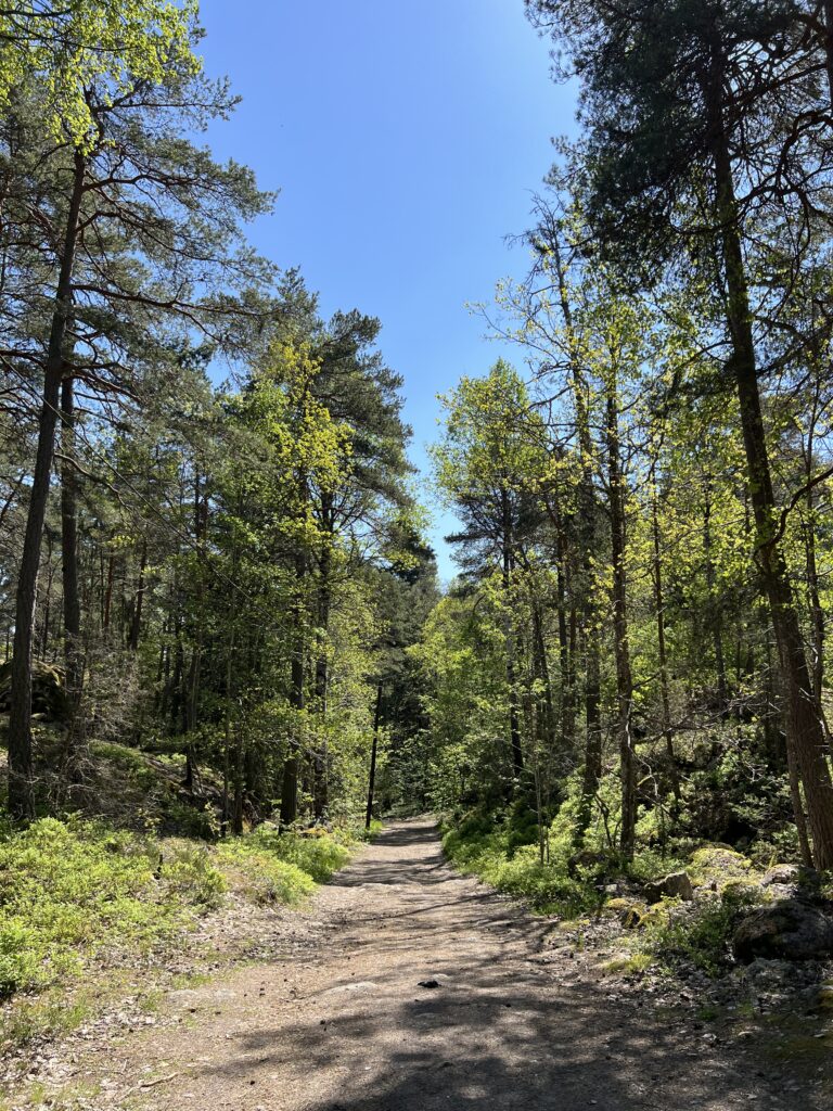 IMG_0520-768x1024 - Idag känner jag mig stolt