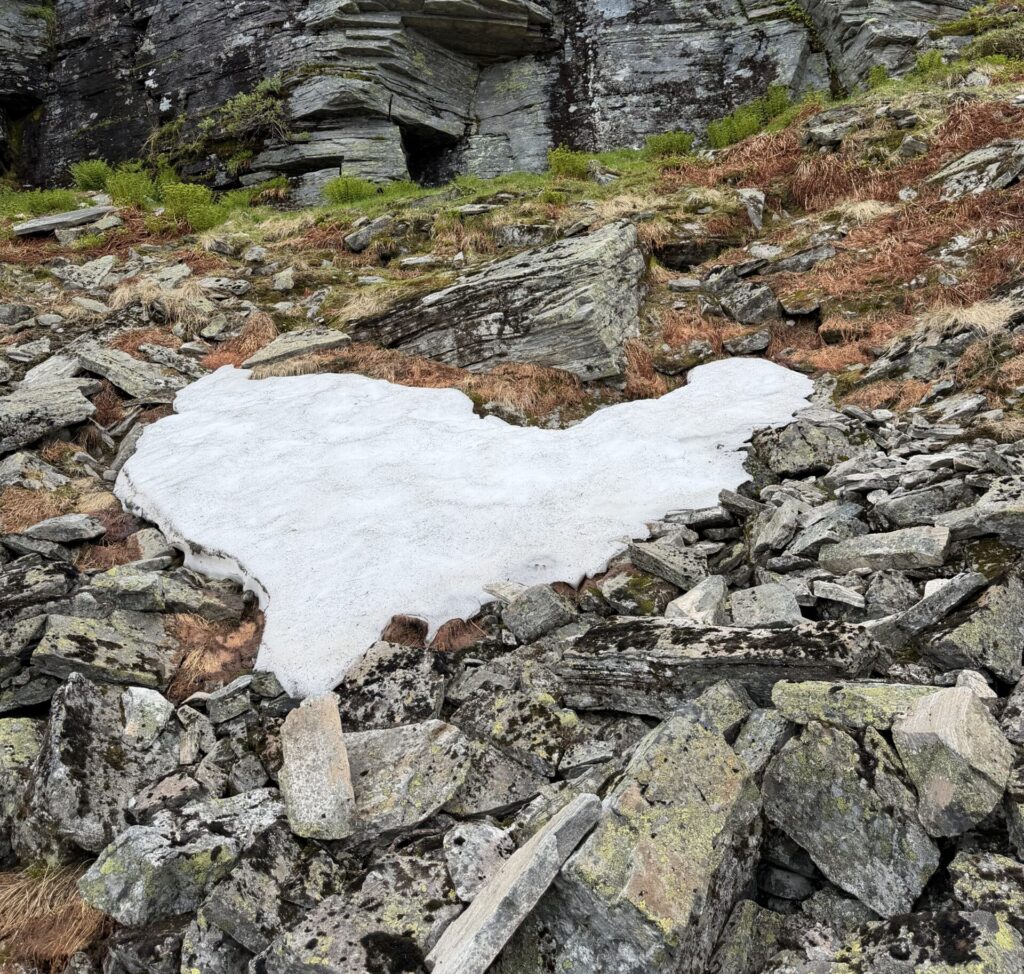 Naturhjärta av snö