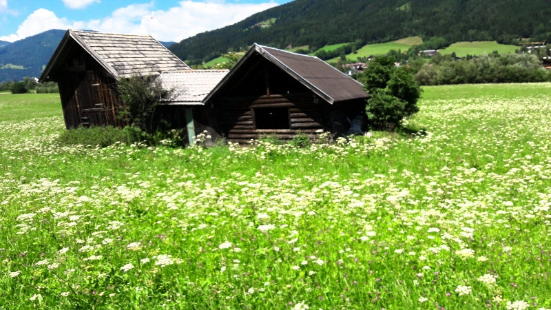 20170714_155457_0 - Morgonvandring upp till Griessenkareck 1.991 m.ö.h och sedan cykel till Reiteralm.