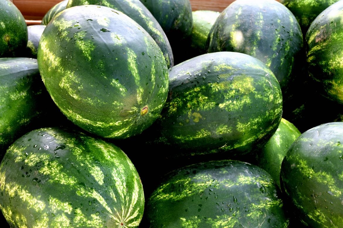 Vattenmelon