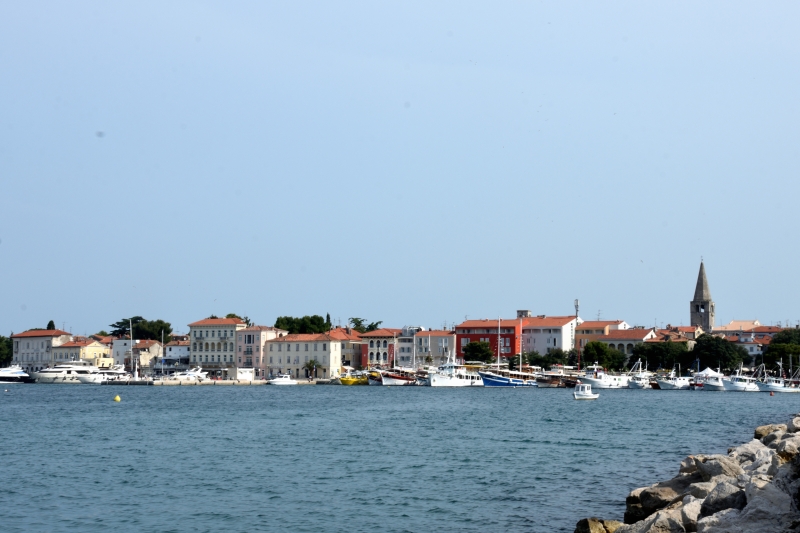 DSC_6495_1508 - Smärta.