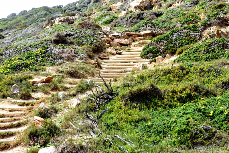 DSC_8253 - Powerwalk vid Cape of Good Hope eller när jag tog den 1210:e bilden på drygt två veckor!