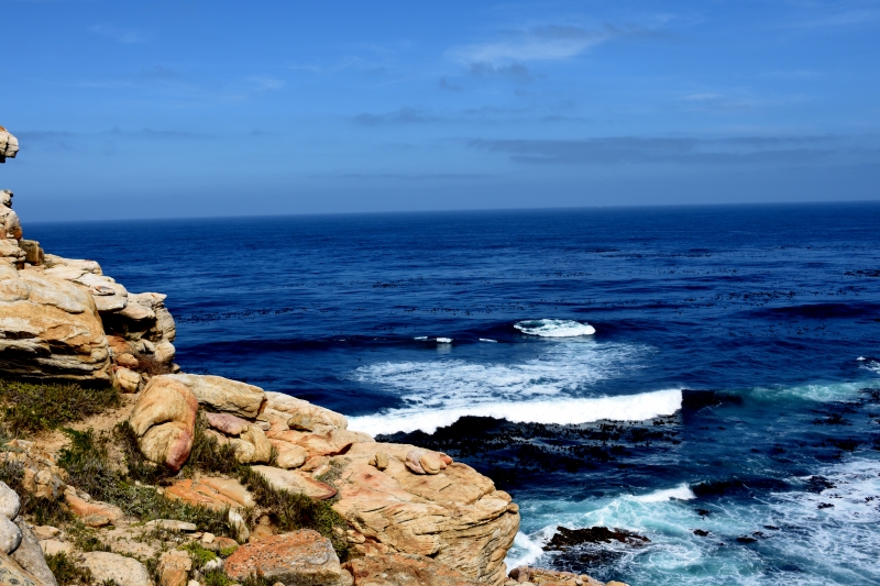 DSC_8255 - Powerwalk vid Cape of Good Hope eller när jag tog den 1210:e bilden på drygt två veckor!