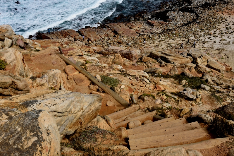 DSC_8257_01 - Powerwalk vid Cape of Good Hope eller när jag tog den 1210:e bilden på drygt två veckor!