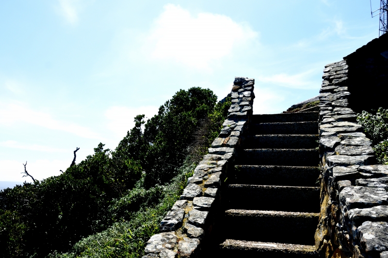 DSC_8280 - Powerwalk vid Cape of Good Hope eller när jag tog den 1210:e bilden på drygt två veckor!