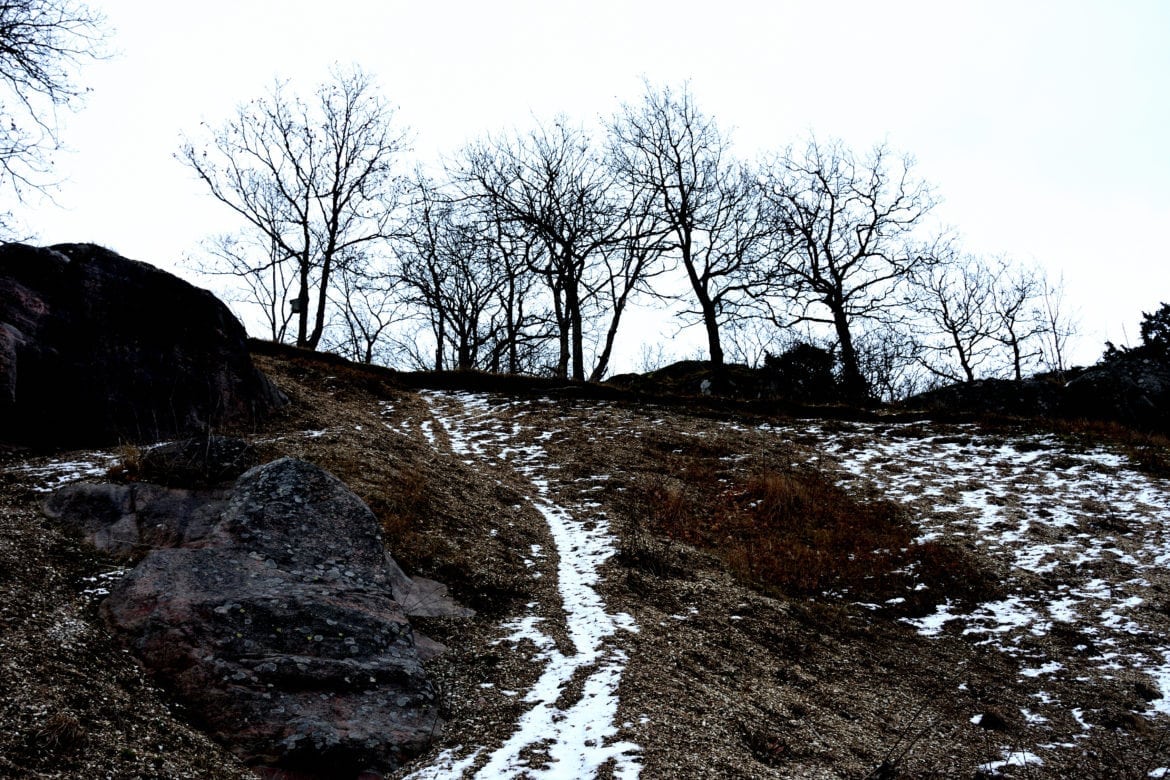 Snäckskalsbankarna Uddevalla