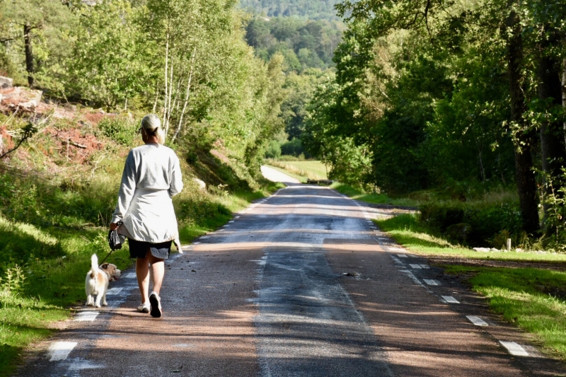Fil-000-8 - Powerwalk med min BFF sedan 47 år!