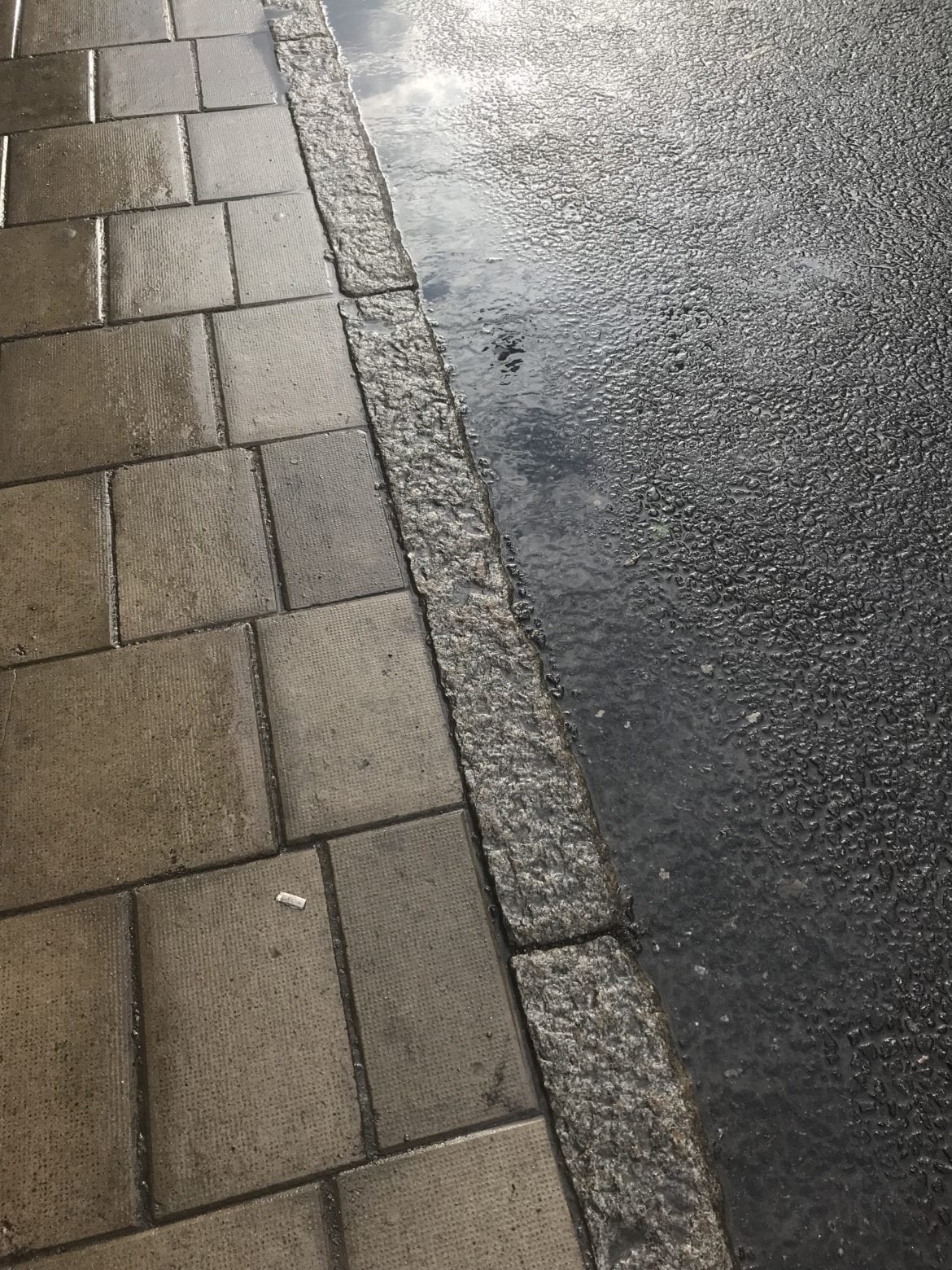 IMG_0070-e1531733403920 - Sommarmåsten och trots