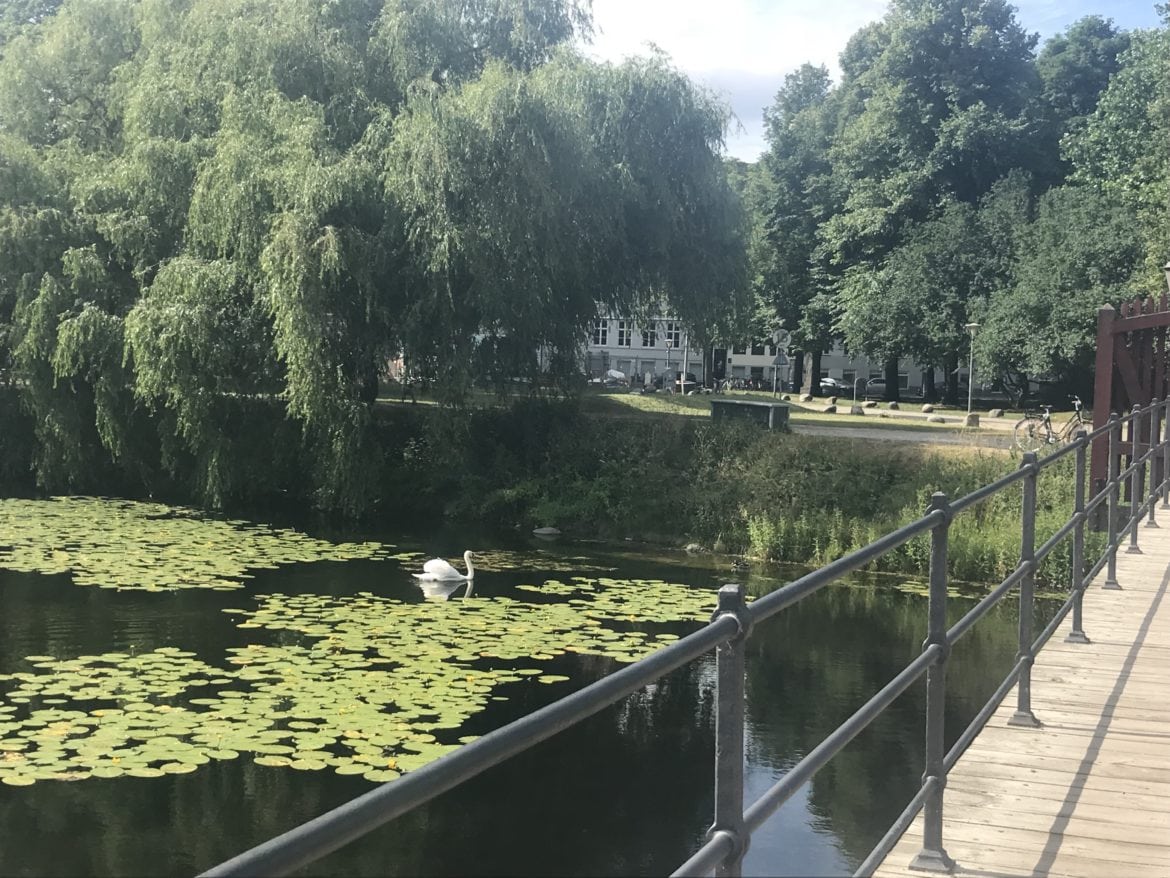 IMG_0155 - Snipp, snapp, snut