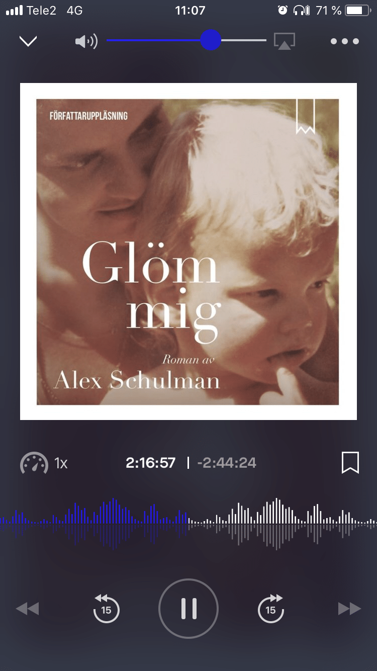 IMG_0466 - Sommartips: Ljudbok -återfunnen kärlek