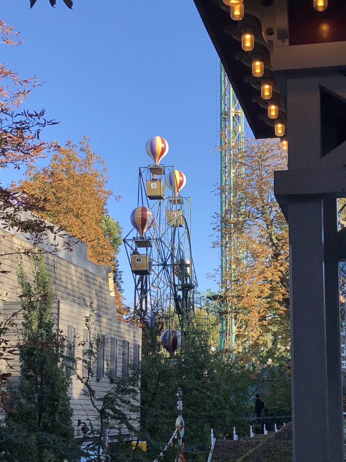 IMG_1804-e1537689106617 - Höst och njutbara ting