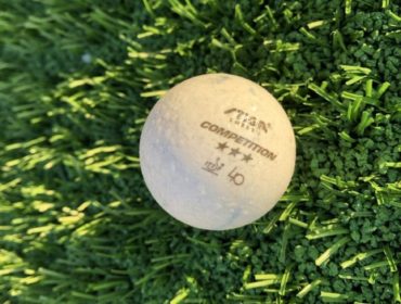 IMG_2421-e1539508697817