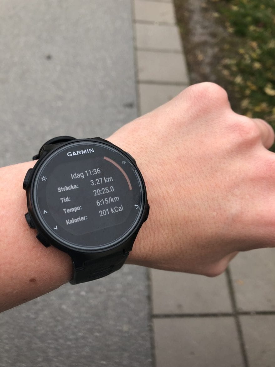 IMG_2458-e1539774760360 - Here you come again