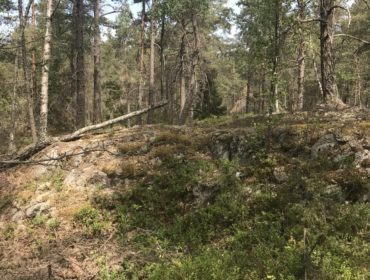 IMG_9964-e1530690689732